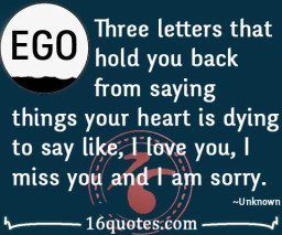 I love you, I miss you quote